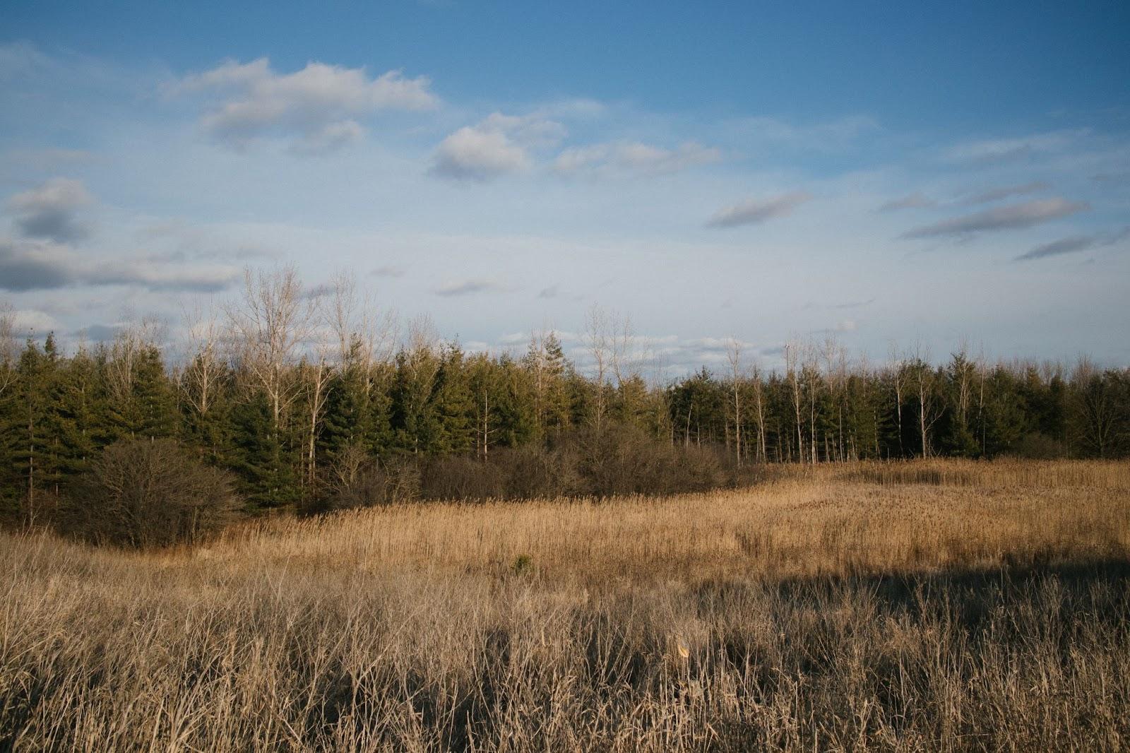 Claireville Conservation Area